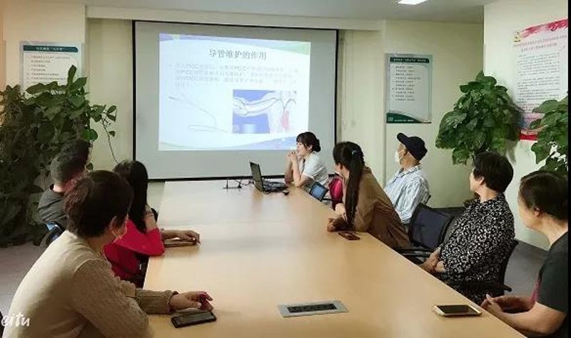 站群程序市场观察:机遇与挑战并存